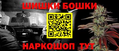 гидра Будённовск
