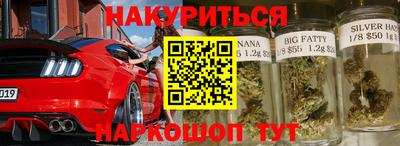 гидра Будённовск