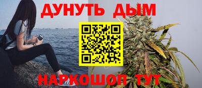 гидра Будённовск