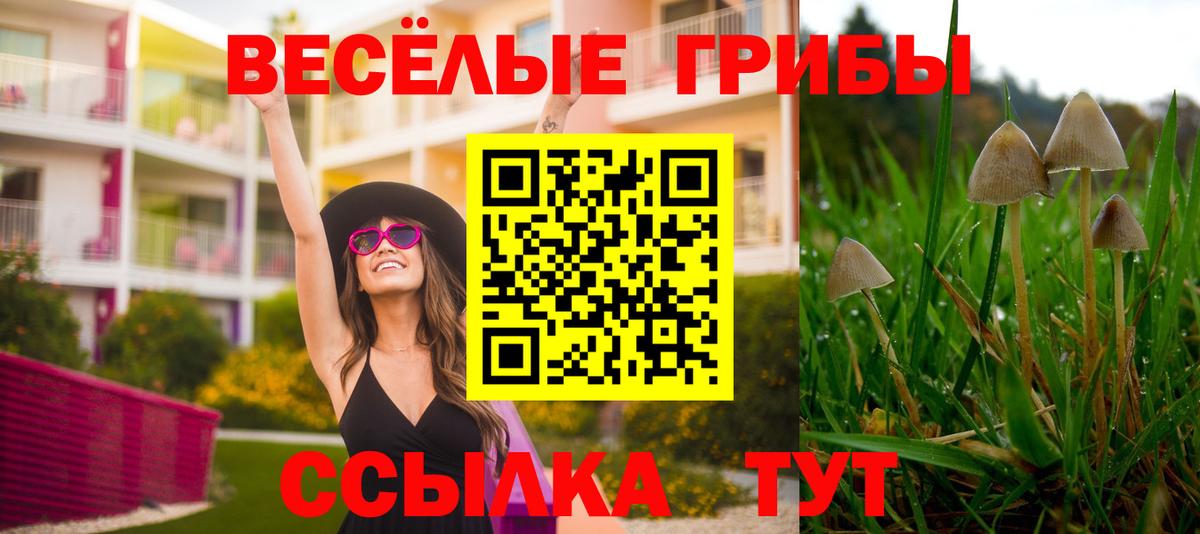 Псилоцибиновые грибы ЛСД Смоленск