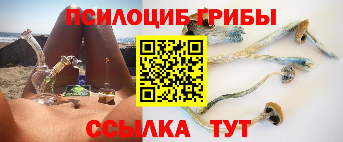 Псилоцибиновые грибы Psilocybe  Галлюциногенные грибы прущие грибы  Смоленск  Вход с VPN 